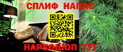 ECSTASY Берёзовский