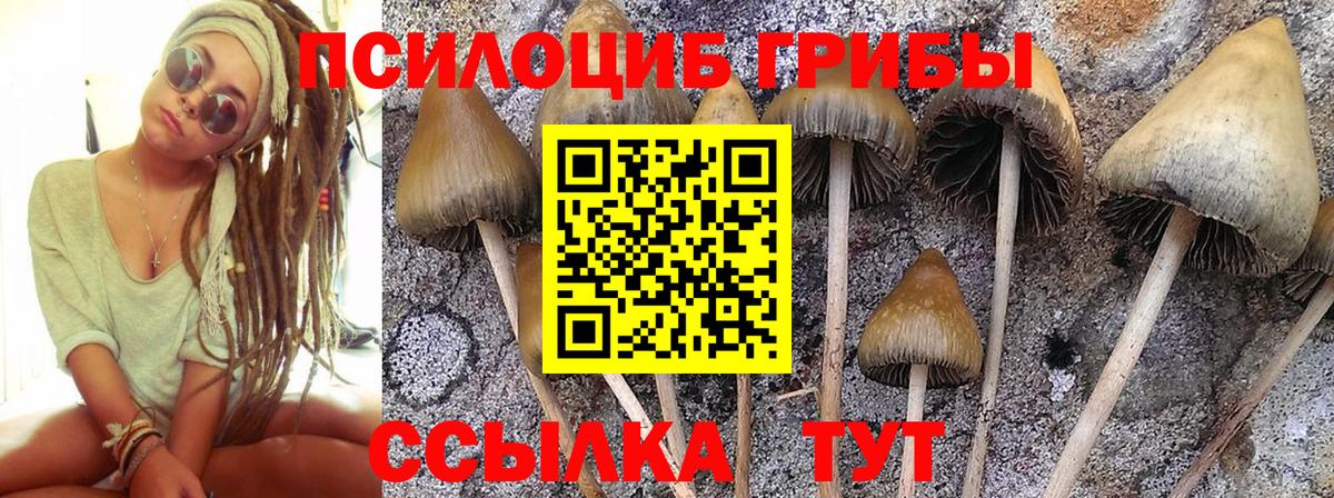 Псилоцибиновые грибы мицелий  Вход с VPN  где купить наркоту  Ирбит 