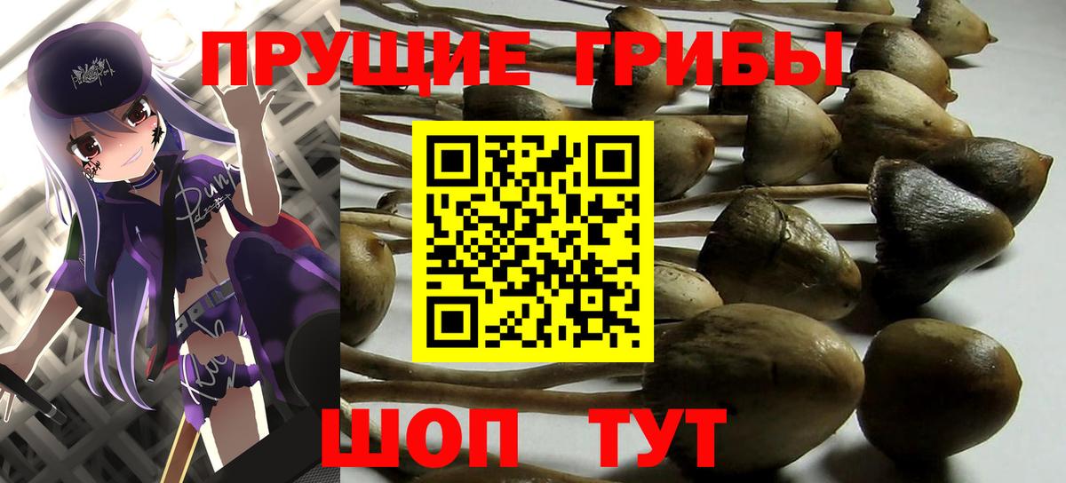 Псилоцибиновые грибы прущие грибы Ирбит